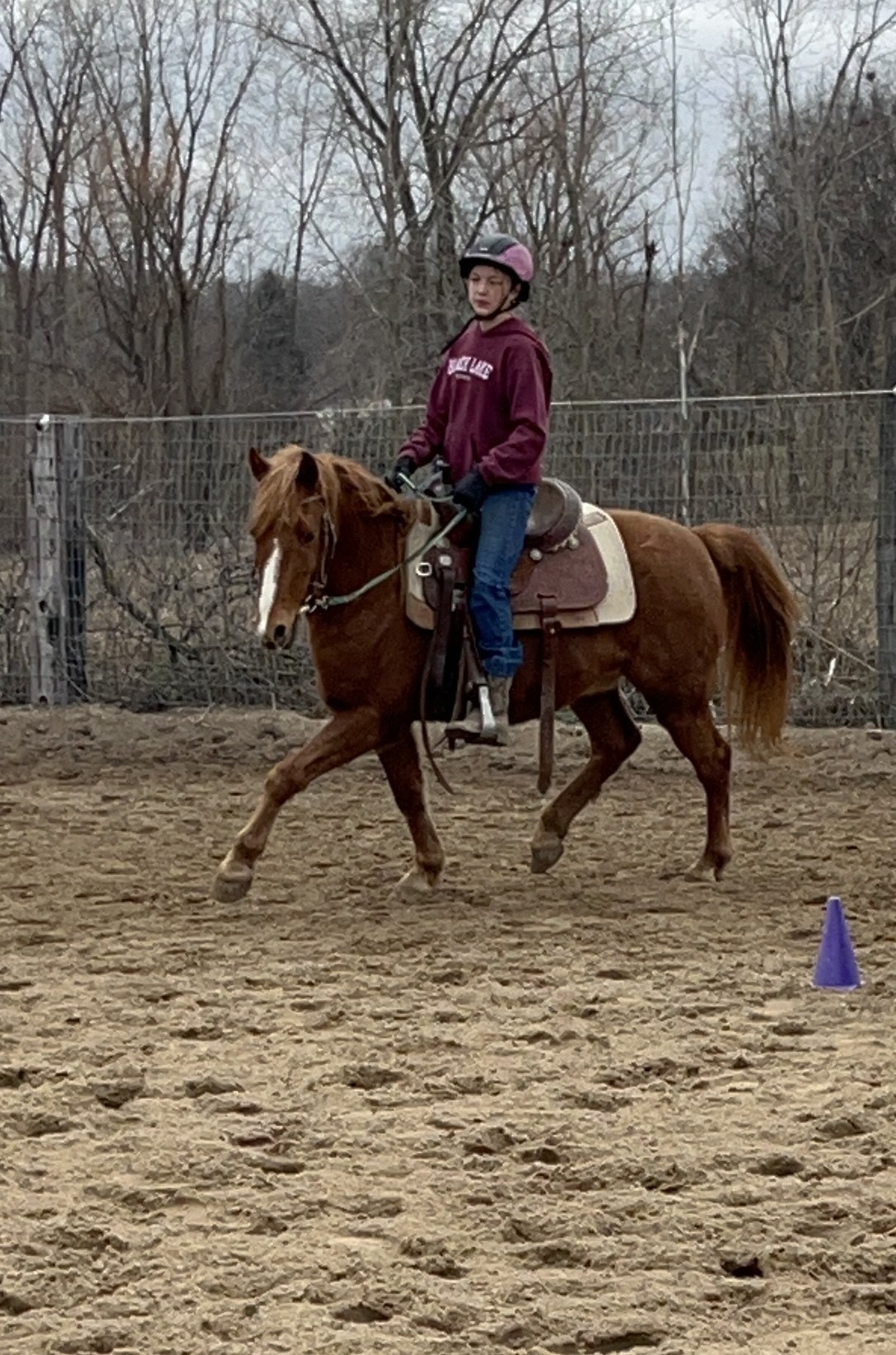 Helmeted rider on a chestnut horse in an outdoor arena