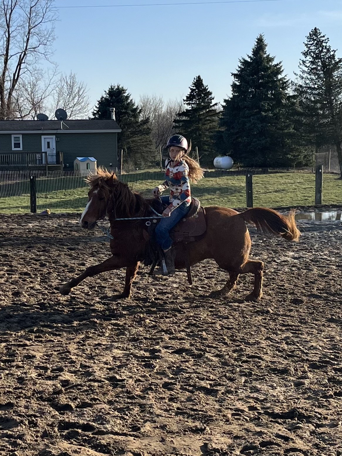 Young helmeted rider riding a chestnut horse outdoors